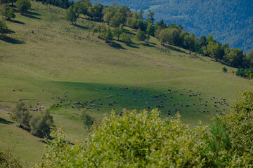 lake in the mountains