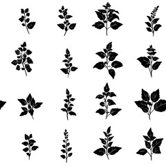 Holy basil tiled design, Holy basil repeating background illustration