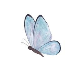 watercolor illustration of blue butterflies