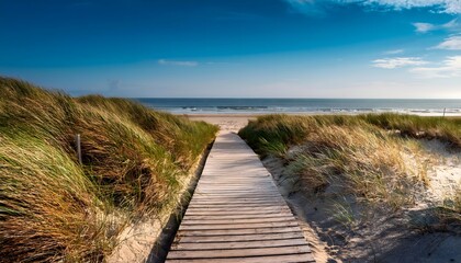 Serene Beach Walkway Summer Ocean View Sandy Dunes Grass