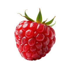 Strawberries on transparent background