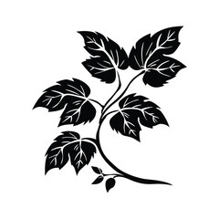 Decorative Leaf Silhouette set Clipart on a white Background