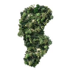 Lush, green forest isolated on white background