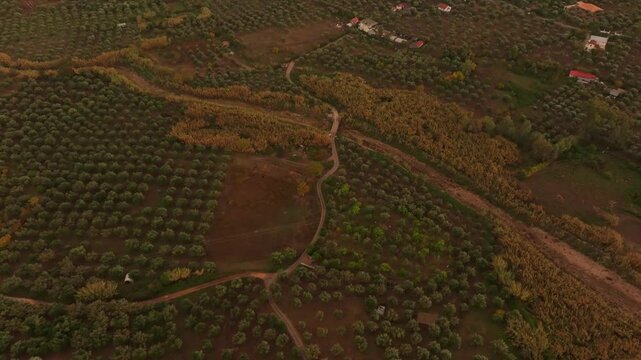 Aerial view of a picturesque village surrounded by olive groves and fields under a vibrant rainbow at sunset over the Ionian Sea, Nea Koroni, Greece.