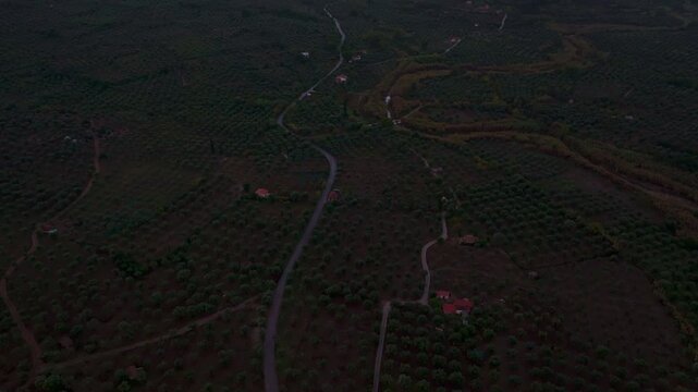 Aerial view of serene sunset over winding road and olive tree fields in the tranquil valley surrounded by mountains, Nea Koroni, Greece.