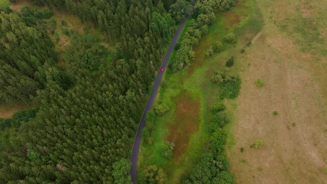 Aerial view of serene forest and winding road with a car, Nova Ves, Czech Republic.