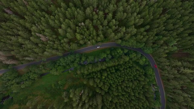 Aerial view of lush forest with winding road and car, Nova Ves, Czech Republic.