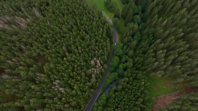 Aerial view of lush green forest with a winding road and a car, Nova Ves, Czech Republic.
