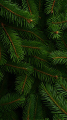 Lush Evergreen Pine Needles Background Image