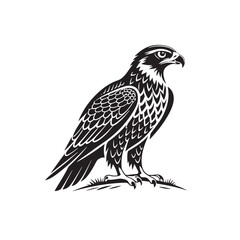Obraz premium Black and White Hawk Illustration