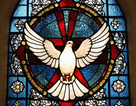 White dove stained glass window style in church window