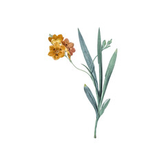 floral and leaf watercolor elements