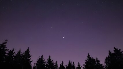 Fototapeta premium full moon over the forest