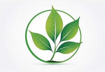 Fototapeta premium green leaf icon