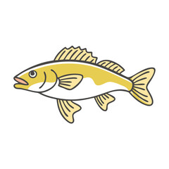 walleye vector icon, fish vector illustration - simple illustration of walleye perfect for logos, and fish - themed designs.