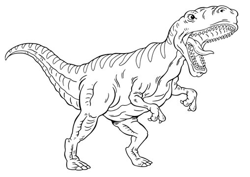 T Rex Dinosaur Vector Outline