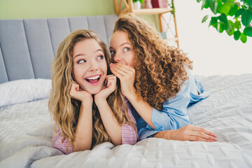 Full length photo of two pretty young females lying bed share secret dressed enjoy wake up modern cozy day light bedroom home interior