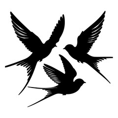 Obraz premium Swallows Silhouette Line art isolated white background