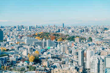 冬の東京の街並み