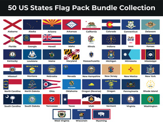 50 US State Flags Pack Bundle Collection High Quality Vector Illustration