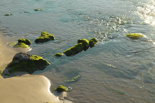 Moss covered rocks on Comarruga beach, Tarragona