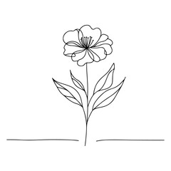 One line drawing minimalist flower illustration in line art style