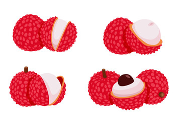 set of Lychee fruit vector Cartoon isolated on white background