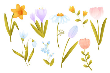 Colorful spring flowers in bright design,vector, garden flowers