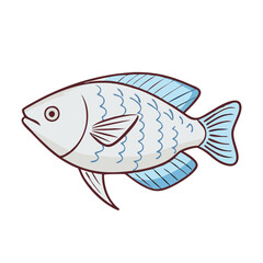 pearl gourami fish vector icon, aquarium fish vector illustration - simple illustration of pearl gourami fish perfect for logos, and aquarium fish-themed designs.
