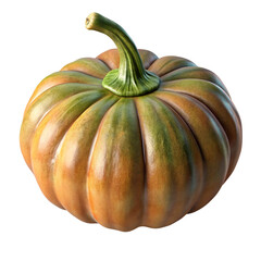 Single Ripe Orange and Green Pumpkin