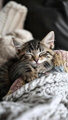 Fototapeta premium Tabby cat sleeps cute pillow concept. A peaceful sleeping kitten nestled in cozy blankets, radiating warmth and comfort.