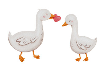 Cute geese in love in cartoon style. Watercolor hand drawn illustration of a character for Valentine's Day. Love. Geese couple with a valentine