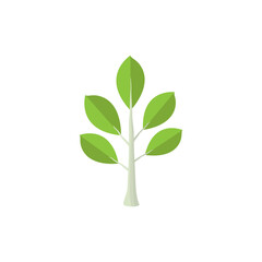 vector illustration of a green tree leaf stalk