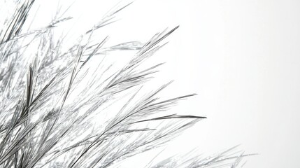 Sleek metallic silver grass blades shimmering with a futuristic aesthetic against a bright white background