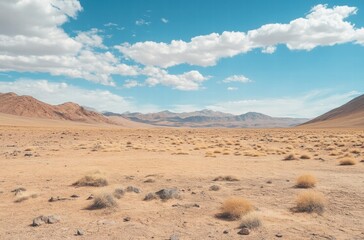 Fototapeta premium A desert landscape with a clear blue sky