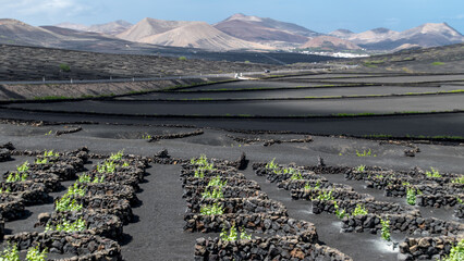 Lanzarote