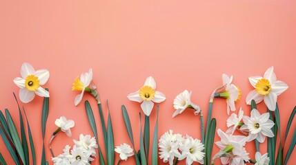 Obraz premium Beautiful spring daffodils and white narcissus flowers with green leaves creating a floral border on a pastel coral pink background, top view with copy space.