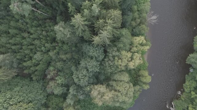 Aerial video over a river in the area of ​​Trocnov Borovany Czech