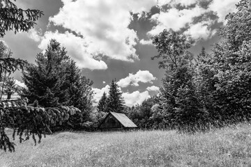 Small wooden hut in a meadow  in the forest; outdoors landscape in nature with trees in the forest...