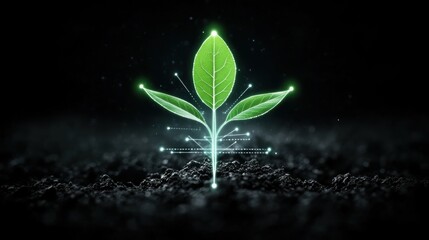 Educational Diagram Style Visual of Plant Growth and Development with Leaf Structure Highlighted in a Modern and Minimalistic Design