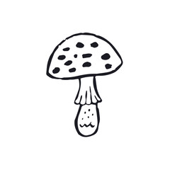 Hand drawn monochrome inky sketch style amanita mushroom. Poisonous fungy black and white doodles