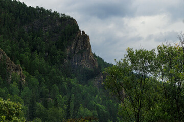 landscape with trees and clouds