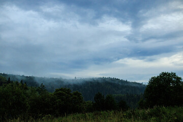 time clouds over forest