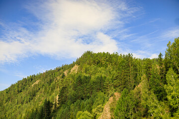 landscape with blue sky