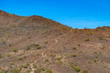 Fototapeta premium An hiking trail in an Arizona mountain