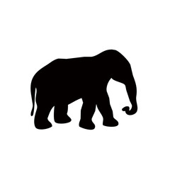 Wild Shadows: The Art of Animal Silhouettes