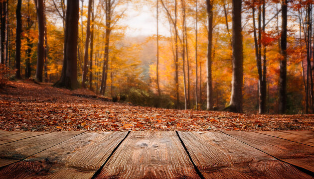 autumn wooded area historical past mockup