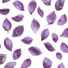 Purple leaves on white background.