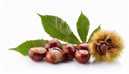 chestnuts with chestnut leafs isolated on white
