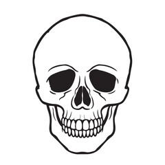 The skull icon. Black silhouette of a human skull. Vector illustration isolated on a white background for design and web.